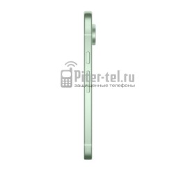 Смартфон Google Pixel 9 12/256Gb Global Wintergreen