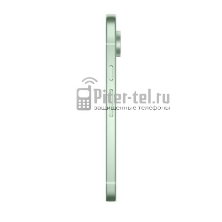 Смартфон Google Pixel 9 12/256Gb Global Wintergreen